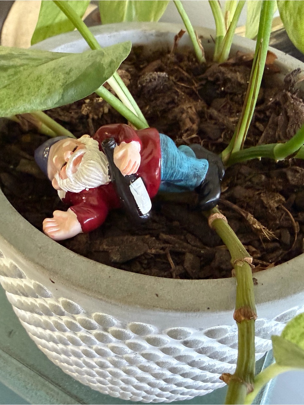 Mini Naughty Garden Gnome Figurines Lot 5 Funny Novelty Miniature Set